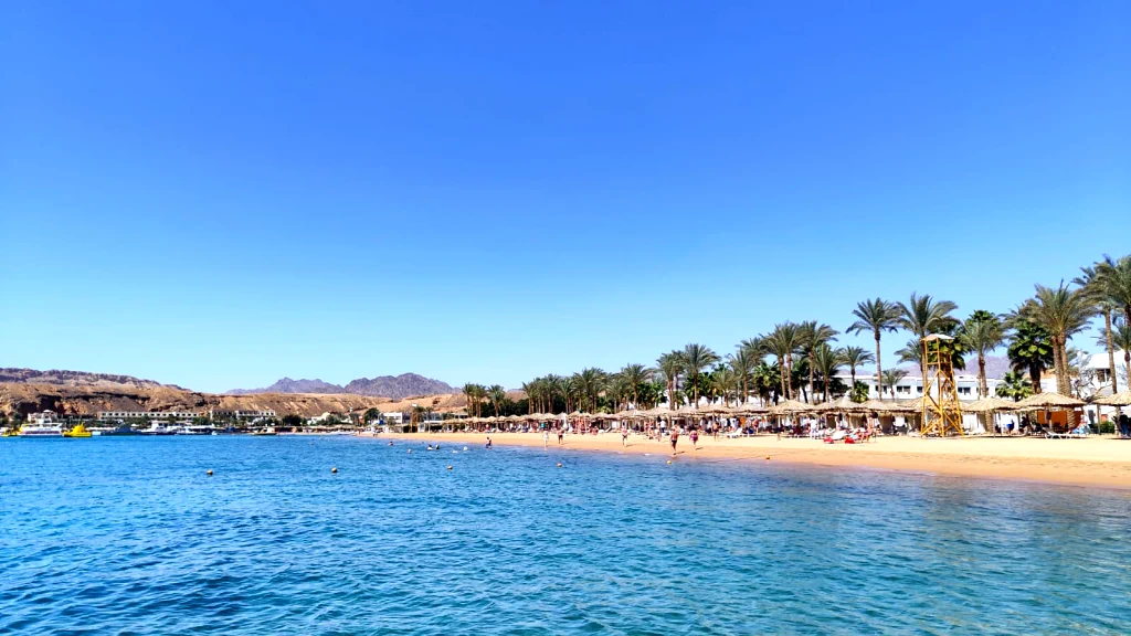 الفندق إبروتيل بالاس - شرم الشيخ